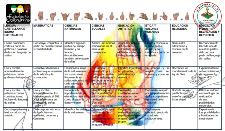 MAYA CURRICULAR